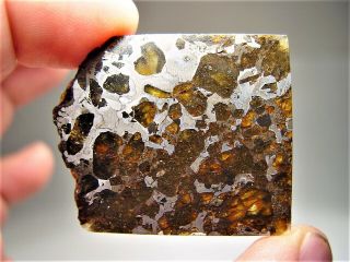 MUSEUM QUALITY CRYSTALS BRAHIN PALLASITE METEORITE 16.  1 GMS 3