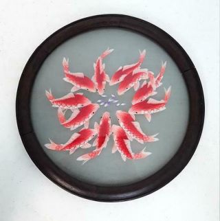 Chinese Handmade Suzhou Embroidery Screen - Koi Fish