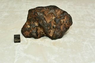 Meteorite,  Iron Iab - Mg: 587g Sculpted Odessa From Texas