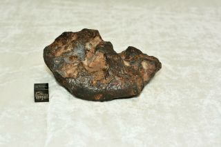 Meteorite,  Iron IAB - MG: 587g sculpted Odessa from Texas 2