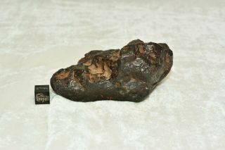 Meteorite,  Iron IAB - MG: 587g sculpted Odessa from Texas 3