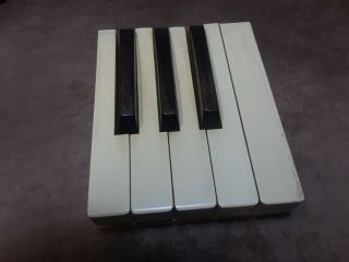 8 Wood Piano Organ Keys Antique Salvage Parts Crafts Repurpose