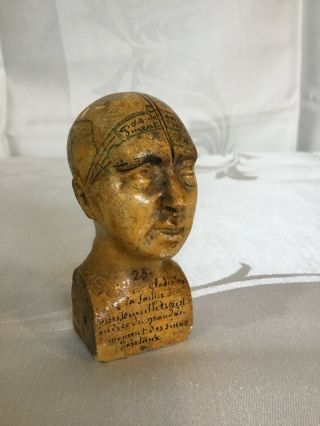 Vintage Phrenology Head Bust Medical Brain Map Model French Ceramic