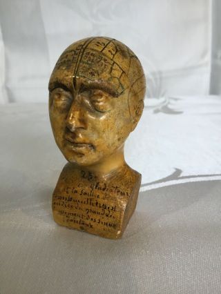 Vintage PHRENOLOGY Head Bust Medical Brain Map Model French Ceramic 2