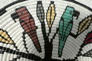 Colorful Panama Indian Basket Plate,  Parrots.  12 1/2 