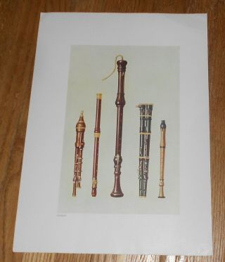 1921 Vintage Print Of Woodwind Instruments Early Oboe Flute Flageolet