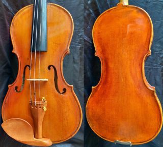 Fine 4/4 Antique Old Violin Lab.  : Albertus Blanchi,  Teller Fiddle Bratsche Geige