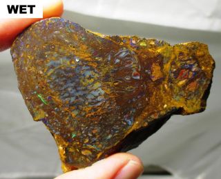 73 Gram Koroit Boulder Opal Rough Slab - Australia