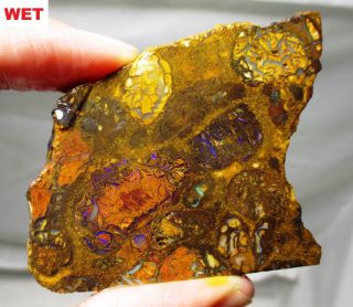 Great 74.  1 Gram Koroit Boulder Opal Rough Slab - Australia