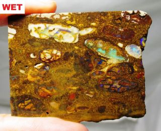 Great 45.  7 Gram Koroit Boulder Opal Rough Slab - Australia
