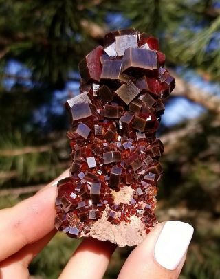 Wow Lustrous Dark Fire Red Vanadinite Crystals On Matrix From Morocco (: (: