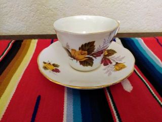 Royal Dover English Bone China Yellow And Red Roses Teacup And Saucer