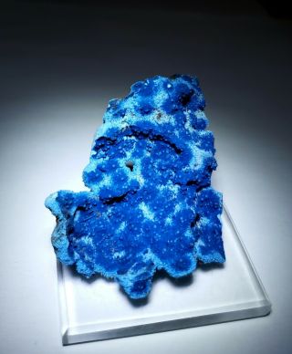 Terrific - Unique Blue Shattuckite Crystal Matrix,  Mine D.  R.  Congo
