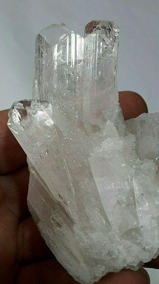 152gr.  Gemmy Pink Danburite Crystal Cluster.  La Aurora - Charcas.  Mexico
