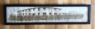 World War 1 Ww1 Panoramic Photo 309th Machine Gun Co.  D Camp Dix Nj Antique
