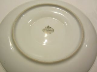 LM L M Royal Halsey Very Fine China Cup & Saucer 3