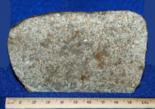 More Than 1/2 - Pound Nwa 869 Meteorite End - Cut Stone Meteorite 258 - Gram (9.  1 - Oz. )