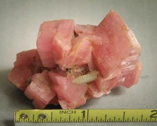Rhodochrosite Crystals Pink Colorado Mineral Specimen
