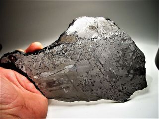 A Brazilian Beauty Uruacu Iron Meteorite Full Slice 974 Gm