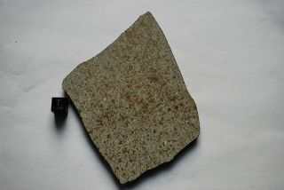 Meteorite Ghadamis Libya,  huge full slice 110 grams 2