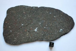 Meteorite Cv3 Chondrite,  Nwa 12675,  Huge Full Slice 130 Grams