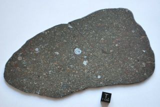 Meteorite CV3 chondrite,  NWA 12675,  huge full slice 130 grams 2
