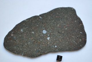 Meteorite CV3 chondrite,  NWA 12675,  huge full slice 130 grams 3