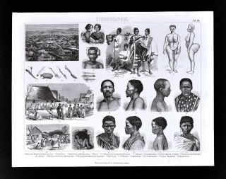 1874 Anthropology Print South Africa Bushman Hottentot Zulu Korana Madagascar