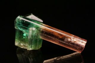 Unique Gem Bi - Color Tourmaline Crystal Cruzeiro,  Brazil