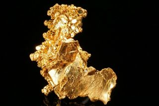 Native Gold Crystal Cluster Colorado Quartz Mine,  California - Ex.  Brown