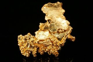 Native Gold Crystal Cluster COLORADO QUARTZ MINE,  CALIFORNIA - Ex.  Brown 2
