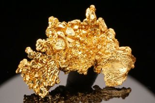 Native Gold Crystal Cluster COLORADO QUARTZ MINE,  CALIFORNIA - Ex.  Brown 3