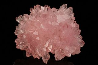 EXCEPTIONAL OLD Rose Quartz Crystal Cluster PITORRA CLAIM,  BRAZIL 2