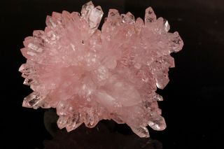EXCEPTIONAL OLD Rose Quartz Crystal Cluster PITORRA CLAIM,  BRAZIL 3
