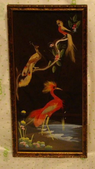 Vintage Bird Picture Real Feathers Mexican Folk Art Feathercraft 7.  5 " X 15.  5 "