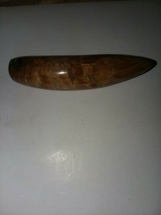 Polished Fossil Sperm Whale Tooth Core