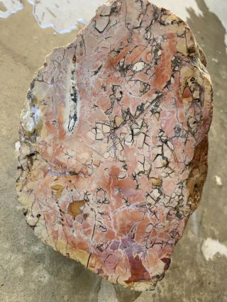Rough Face Cut Unidentified Pink Brecciated Rock (?) 13 Lbs