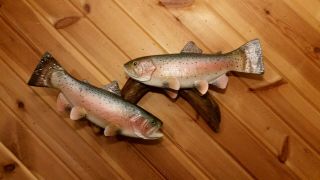 Rainbow Trout Wood Carving Fish Taxidermy Fish Decoy Casey Edwards