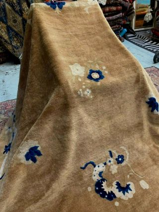 Auth: Antique Peking Art Deco Chinese Rug Plush Carmel Wool Beauty 7x9.  6 ' NR 3