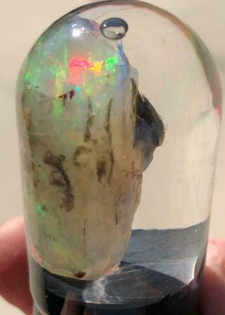 Fire,  Limb Cast Crystal Opal Petrified Wood Virgin Valley,  Nevada Nr