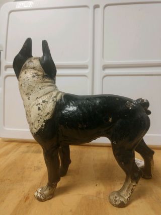 Vintage Cast Iron Boston Terrier Possible Hubley 2