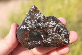 Bondoc Meteorite Etched Full Slice 40.  5 Grams