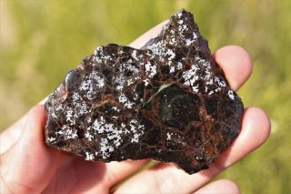 Bondoc Meteorite etched full slice 40.  5 grams 2