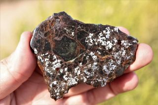 Bondoc Meteorite etched full slice 40.  5 grams 3