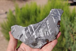 Canyon Diablo Meteorite End Cut 747.  6 Grams