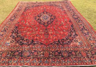 One - Of - A - Kind Devine Agra Antique Rug Hand - Knotted Wool Size:396.  24 X 277.  37 Cm