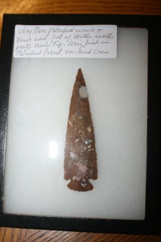 Very Rare Petrified Wood Spearhead