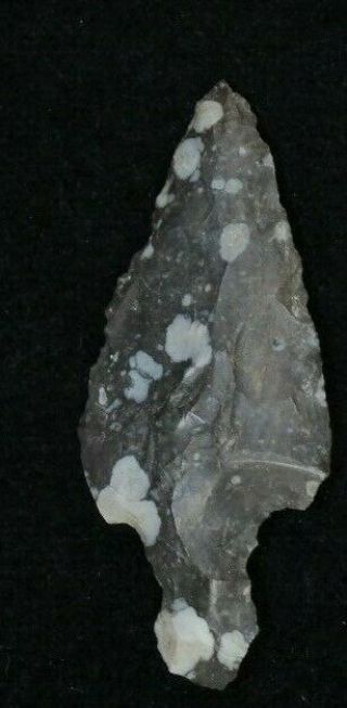 Projectile Point Discovered In Southeast United States