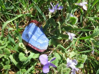Iceland Lakagigar Purple Lilac Rain Monatomic Spar Andara Crystal 28 Gram