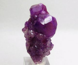Miraculous Vibrant Manganoan Vesuvianite Crystal Jeffrey Mine Canada